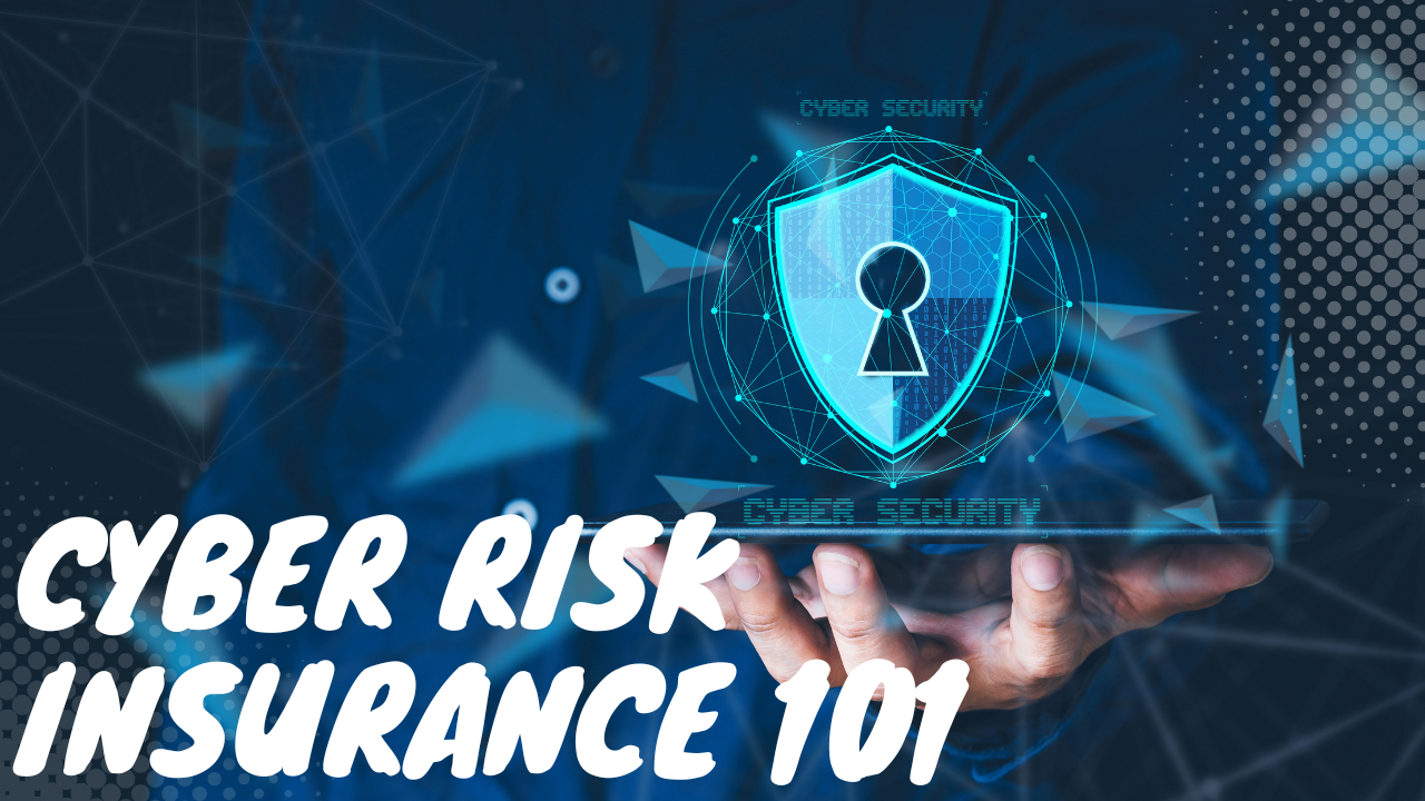 Cyber Risk Insurance 101